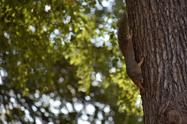 这离不开现 这离不开现