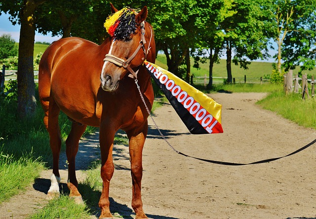 随着比赛深 随着比赛深