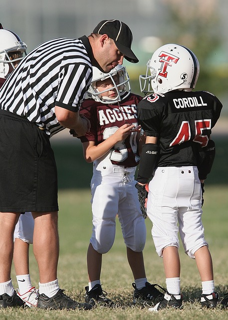 塞尔塔的明 塞尔塔的明